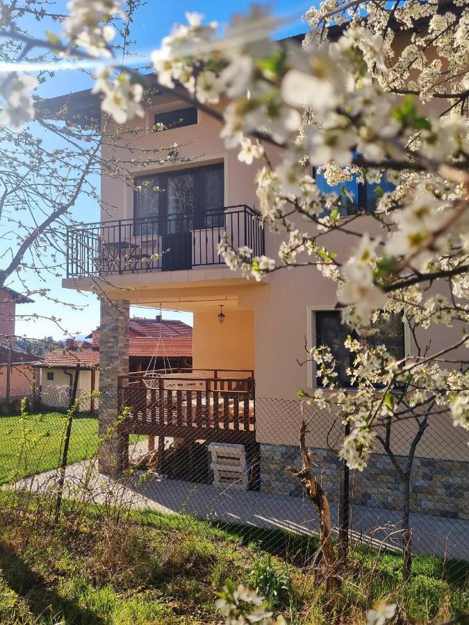 Bella Family Guest House 萨帕雷瓦巴尼亚 外观 照片